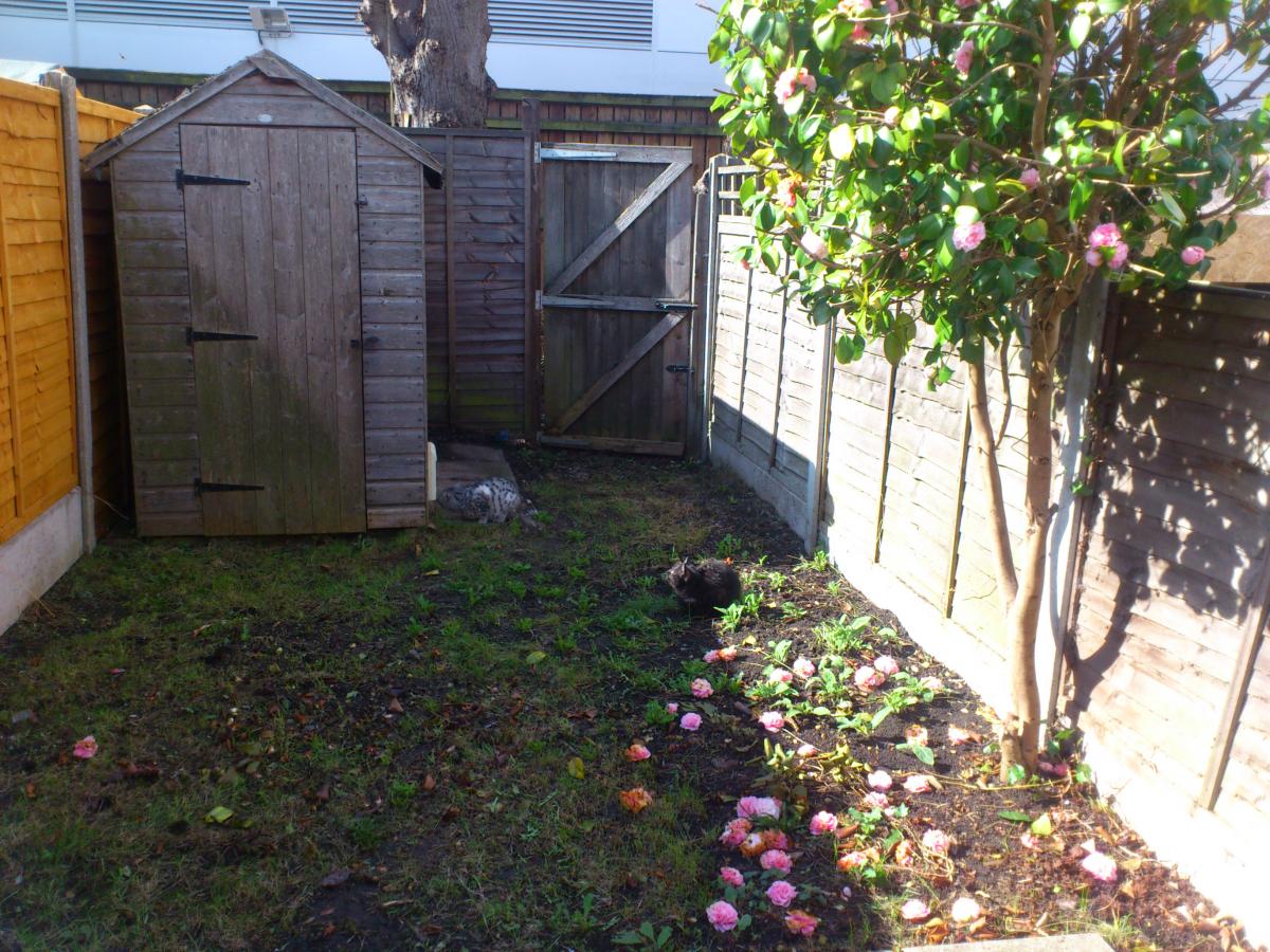Spring 2012